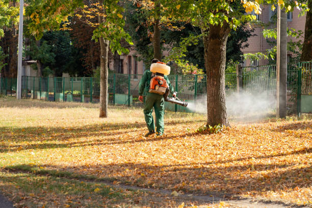 Pest Control for Restaurants in Manson, IA