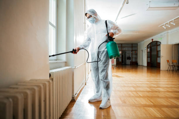 Trusted Manson, IA Pest Control Experts
